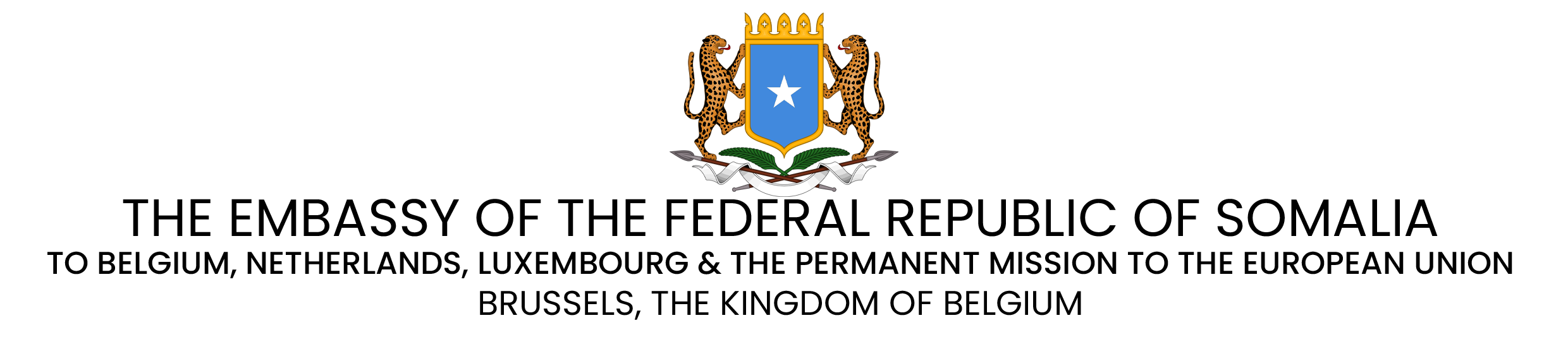 Embassy visual